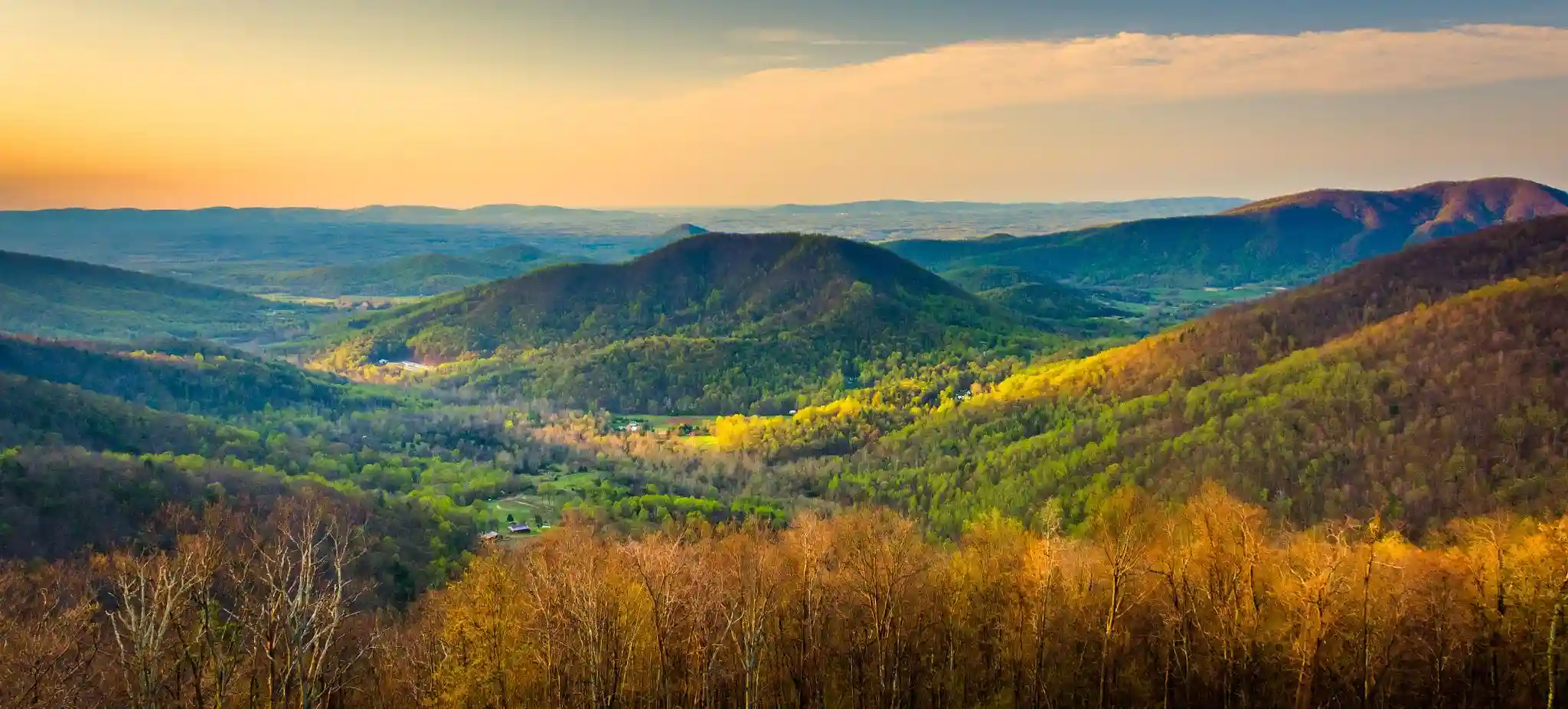 Appalachian Trail: Shenandoah