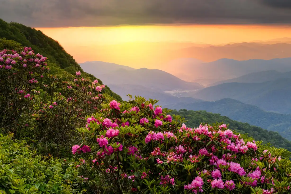 Blue Ridge Parkway: 5-Day Road Trip