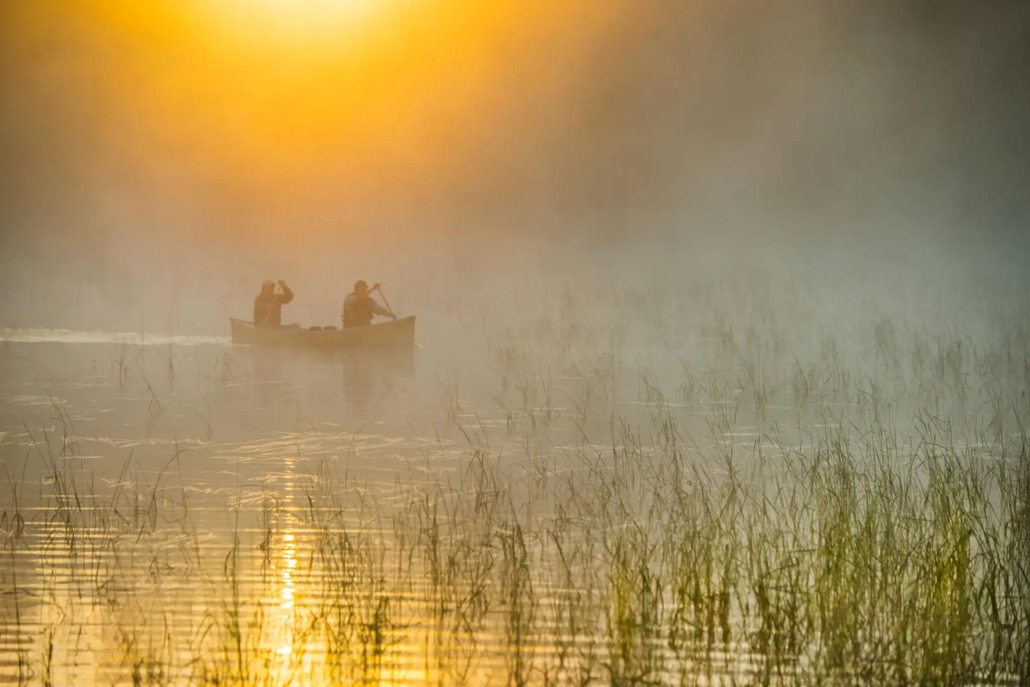 Boundary Waters: 5-Day Canoe Trip