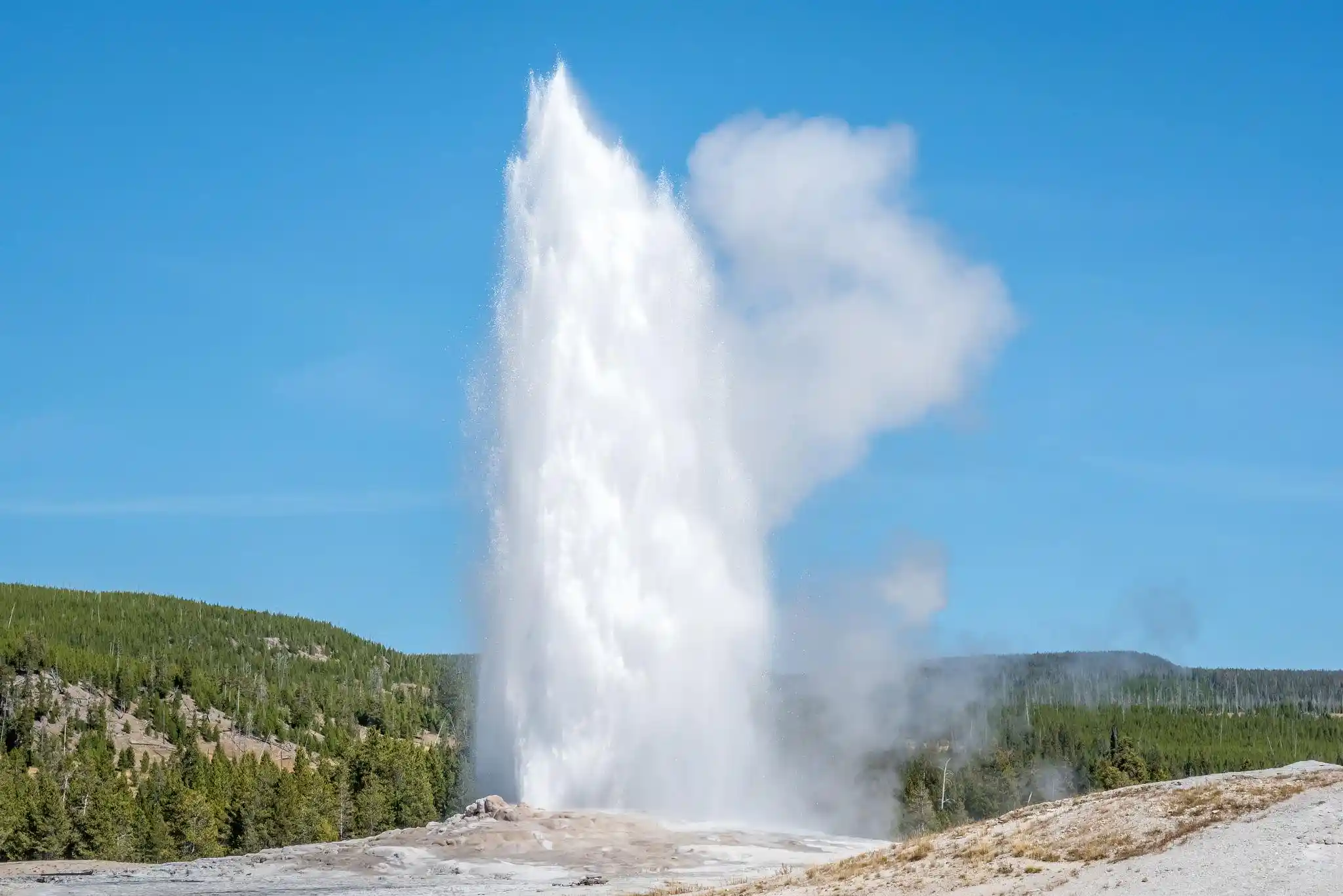 Yellowstone & Grand Teton: 5-Day Road Trip